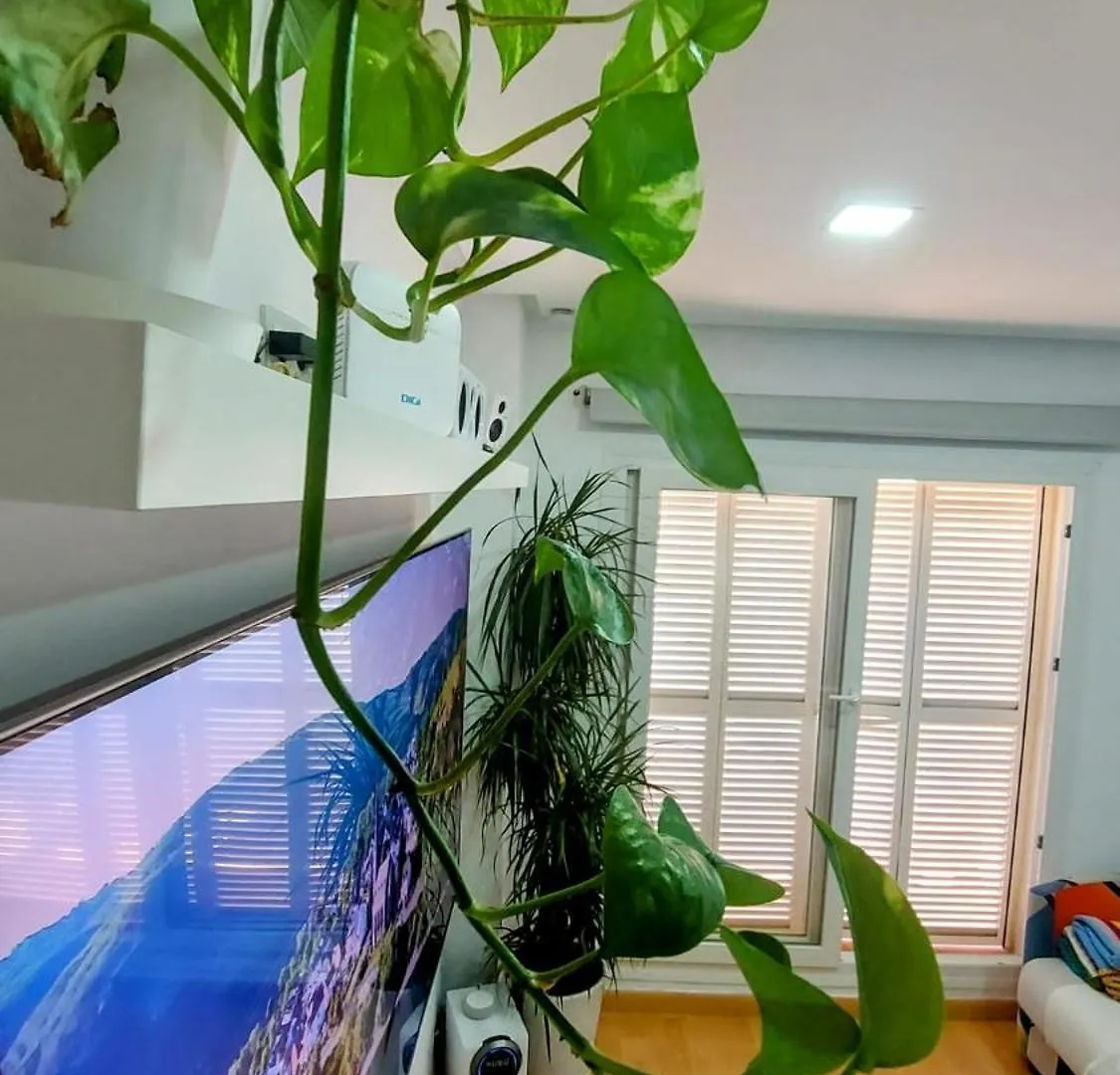 Atico Benalmadena Apartment Spain